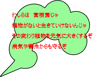 わしらは 菌根菌じゃ 植物がないと生きていけないんじゃ その変わり植物を元気に大きくするぞ 病気や害虫からも守るぞ