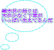 雑木林の始りは 木が少なく下草が いっぱい生えてるんだ