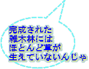 完成された 雑木林には ほとんど草が 生えていないんじゃ